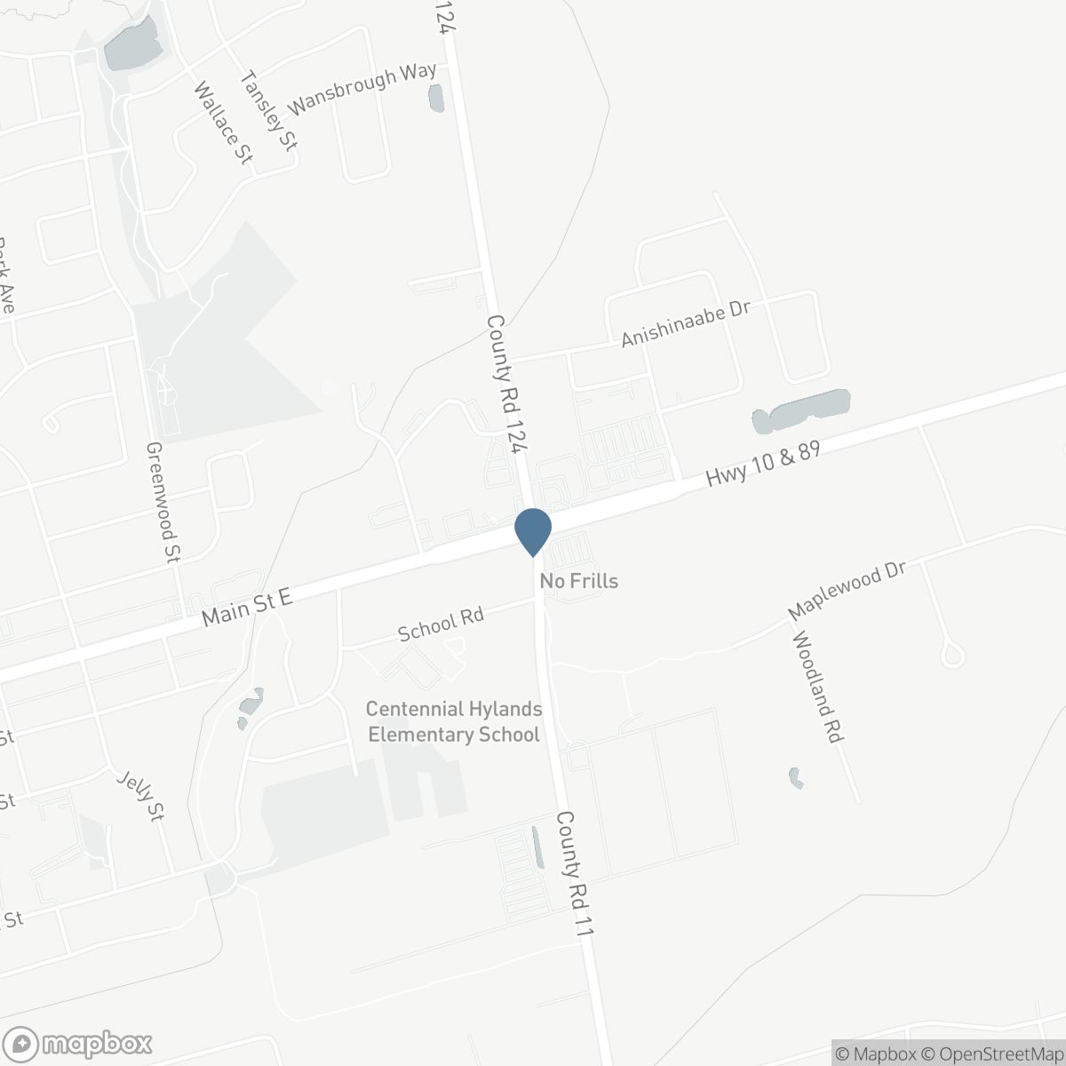 504224 89 HIGHWAY, Amaranth, Ontario L9V 1P6